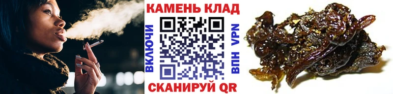 МЕГА как зайти Тосно ГАШ индика сатива