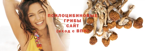 МДПВ Надым