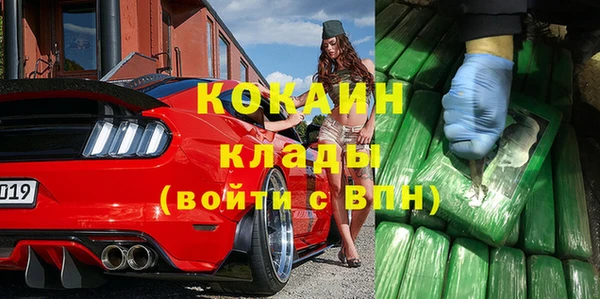 шишки Алзамай