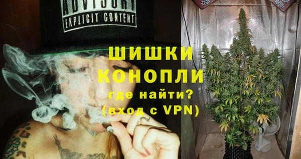 шишки Алзамай