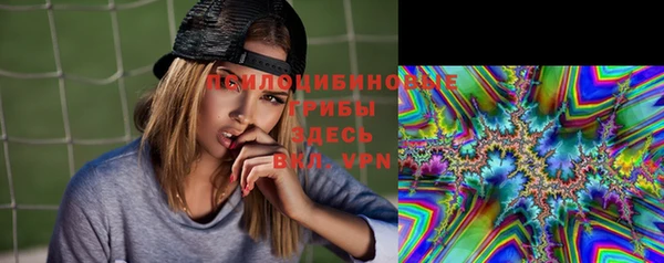 шишки Алзамай