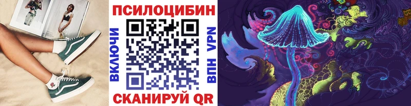 мориарти как зайти  Тосно  Галлюциногенные грибы Cubensis 