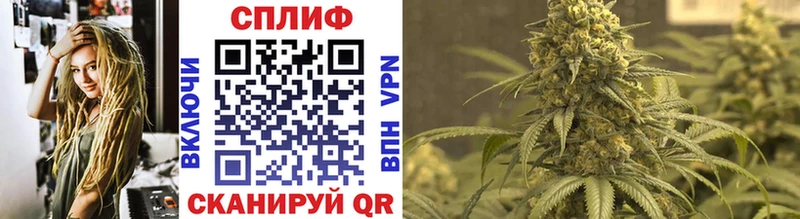 Бошки марихуана Ganja сайты даркнета Telegram Тосно купить наркотик